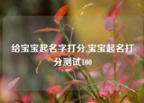 给宝宝起名字打分,宝宝起名打分测试100