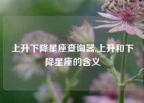 上升下降星座查询器,上升和下降星座的含义