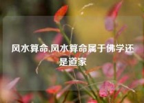 风水算命,风水算命属于佛学还是道家