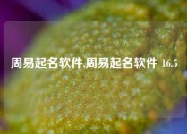 周易起名软件,周易起名软件 16.5