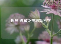 周易,周易免费测算名字