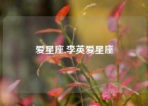 爱星座,李英爱星座