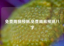 免费周易预测,免费周易预测八字