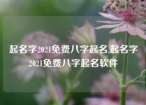 起名字2021免费八字起名,起名字2021免费八字起名软件