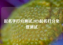 起名字打分测试,2021起名打分免费测试