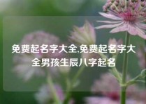 免费起名字大全,免费起名字大全男孩生辰八字起名