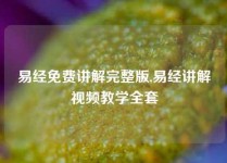 易经免费讲解完整版,易经讲解视频教学全套