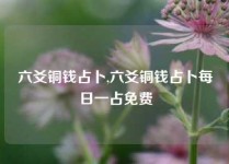 六爻铜钱占卜,六爻铜钱占卜每日一占免费