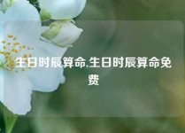 生日时辰算命,生日时辰算命免费