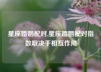 星座婚姻配对,星座婚姻配对指数取决于相互作用