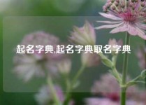 起名字典,起名字典取名字典