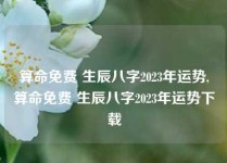 算命免费 生辰八字2023年运势,算命免费 生辰八字2023年运势下载