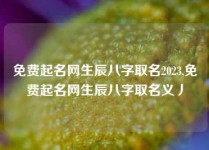 免费起名网生辰八字取名2023,免费起名网生辰八字取名义丿