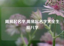 周易起名字,周易起名字大全生辰八字