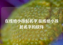 在线给小孩起名字,在线给小孩起名字的软件