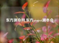 东方测命网,东方project测本命