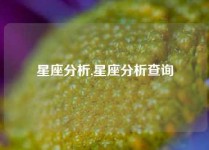 星座分析,星座分析查询