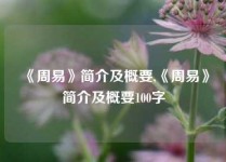 《周易》简介及概要,《周易》简介及概要100字