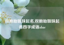 双胞胎姐妹起名,双胞胎姐妹起名四字成语abac