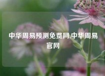 中华周易预测免费网,中华周易官网