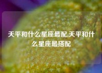 天平和什么星座最配,天平和什么星座最搭配