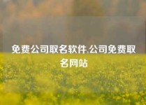 免费公司取名软件,公司免费取名网站