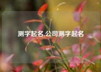 测字起名,公司测字起名