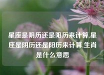 星座是阴历还是阳历来计算,星座是阴历还是阳历来计算,生肖是什么意思