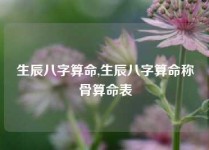 生辰八字算命,生辰八字算命称骨算命表