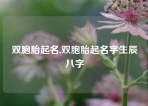 双胞胎起名,双胞胎起名字生辰八字