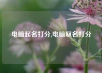 电脑起名打分,电脑取名打分