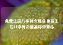 免费生辰八字算命最准,免费生辰八字算命最准称骨算命