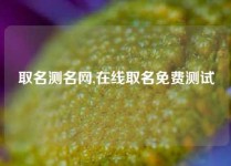 取名测名网,在线取名免费测试