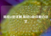 易经64卦详解,易经64卦详解白话文