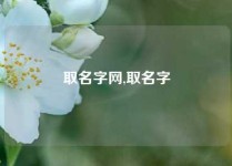 取名字网,取名字