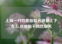 上海一对双胞胎取名谐音上下左右,双胞胎不同姓取名