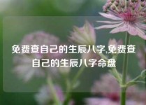 免费查自己的生辰八字,免费查自己的生辰八字命盘