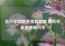 合八字婚姻免费算婚姻,麦玲玲免费测算八字