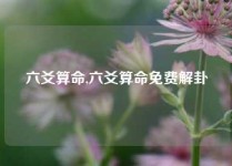 六爻算命,六爻算命免费解卦