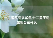 十二星座专属鲨鱼,十二星座专属鲨鱼是什么