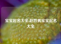 宝宝起名大全,赵姓男宝宝起名大全