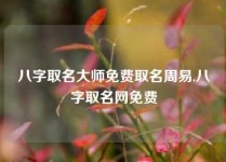 八字取名大师免费取名周易,八字取名网免费