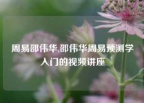 周易邵伟华,邵伟华周易预测学入门的视频讲座