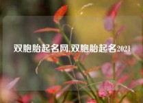 双胞胎起名网,双胞胎起名2021