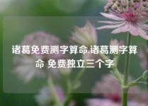 诸葛免费测字算命,诸葛测字算命 免费独立三个字