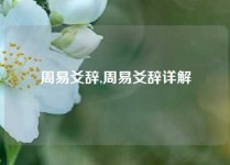 周易爻辞,周易爻辞详解