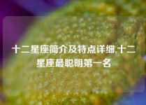 十二星座简介及特点详细,十二星座最聪明第一名