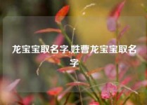 龙宝宝取名字,姓曹龙宝宝取名字