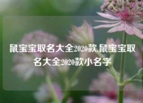 鼠宝宝取名大全2020款,鼠宝宝取名大全2020款小名字