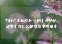 为什么说摩羯座是床上公务员,摩羯座为什么是神仙中的星座